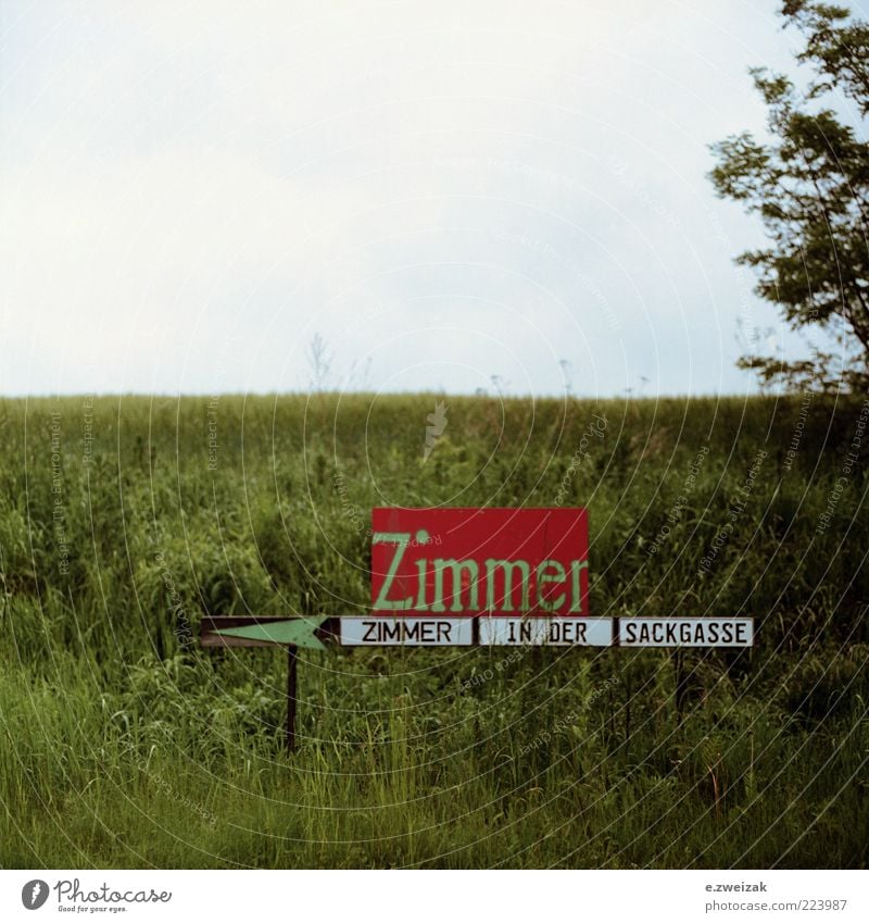 untitled 6 Landschaft Himmel Pflanze Gras Sträucher Menschenleer Schilder & Markierungen authentisch trist blau grau grün Langeweile Leben Farbfoto