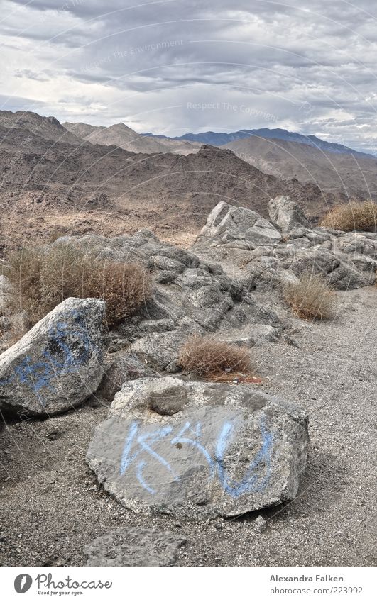 Landschaft Palm Springs V Umwelt Natur Pflanze Urelemente Erde Sand Luft Himmel Wolken Gewitterwolken Horizont Sommer Klima Klimawandel schlechtes Wetter