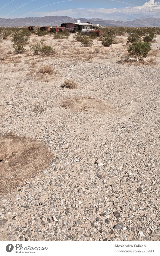 Landschaft Palm Springs VI Umwelt Natur Pflanze Urelemente Erde Sand Himmel Sommer Wärme Dürre Sträucher Grünpflanze Hügel Berge u. Gebirge Dorf Menschenleer