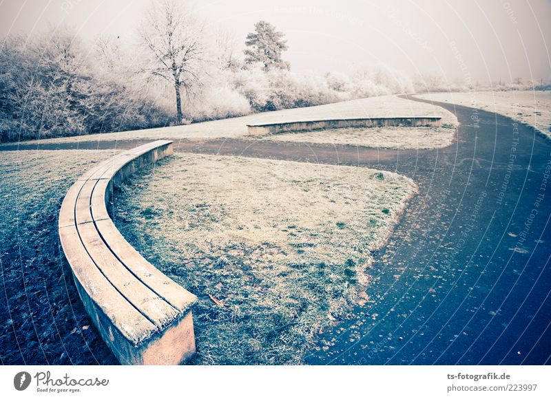 Leere auf der Ersatzbank Umwelt Natur Landschaft Pflanze Urelemente Horizont Winter Nebel Eis Frost Schnee Baum Wiese kalt rund blau grün weiß Parkbank Bank