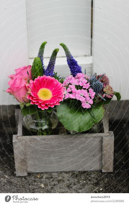 Blumen Holz Korb Vase rosa violett grün Rose Blumenstrauß Natur Außenaufnahme Geschenk Souvenir pflücken