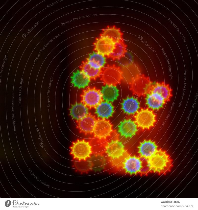 Weihnachtsbaum mehrfarbig Vorfreude ästhetisch Lichterkette Farbfoto Außenaufnahme abstrakt Muster Strukturen & Formen Nacht Lichterscheinung Unschärfe