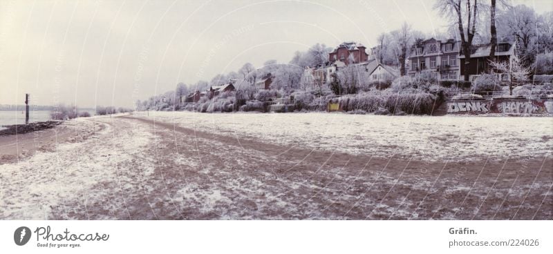 Eiszeit Strand Winter Schnee Haus Sand Himmel Wolken schlechtes Wetter Frost Baum Flussufer Elbe Wege & Pfade kalt braun grau Einsamkeit stagnierend Elbstrand