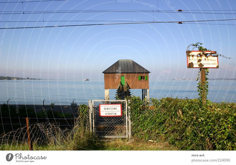 Bodensee Sommer Sommerurlaub Haus Traumhaus Garten See Ruine alt braun grün Österreich Bundesland Vorarlberg Bregenz Holzhaus Steg Pfosten Lindau Farbfoto