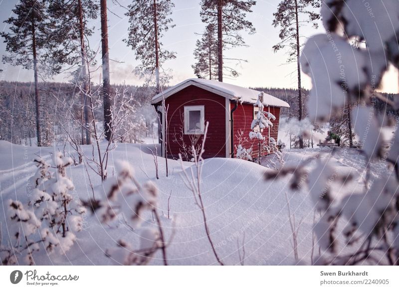 Zeit für Winterstimmung Ferien & Urlaub & Reisen Tourismus Ausflug Abenteuer Ferne Expedition Schnee Winterurlaub wandern Haus Traumhaus 1 Mensch Umwelt