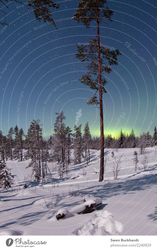 Es leuchtet soooo schön grün Winter Schnee Winterurlaub Berge u. Gebirge wandern Umwelt Landschaft Himmel Wolkenloser Himmel Nachthimmel Klima Klimawandel