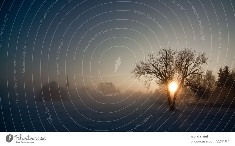 Winterzauber Natur Landschaft Himmel Wolkenloser Himmel Klima Nebel Schnee frisch kalt trocken blau schön ruhig Heimweh Einsamkeit Idylle Farbfoto