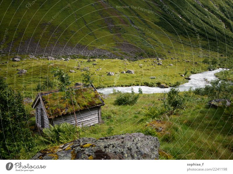 Einsames moosbewachsenes Holzhäuschen in idyllischer grüner Landschaft Cottage Moos Tal Hütte bedeckt Wiese Fluss Berge Gras hölzern Haus Island alt moosbedeckt