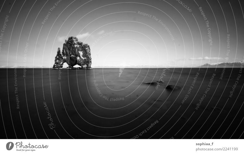 Hvitserkur Umwelt Natur Landschaft Wasser Horizont Küste Strand Meer dunkel gigantisch groß trist Kraft ruhig Sehnsucht Einsamkeit ästhetisch Zufriedenheit