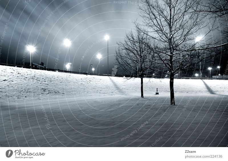 energiesparer Nachthimmel Winter Schnee Baum Park ästhetisch dunkel kalt modern Sauberkeit Stadt blau Energie Ordnung puristisch Landschaftsarchitektur Stil