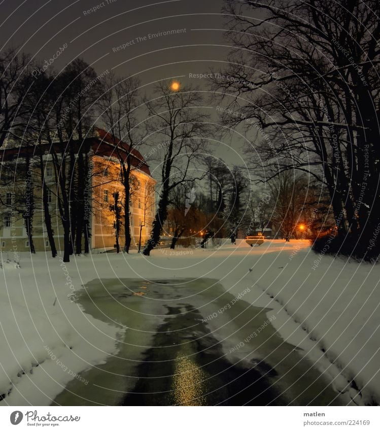 nächtlich Wasser Wolkenloser Himmel Nachthimmel Mond Vollmond Winter Eis Frost Schnee Baum Park Burg oder Schloss dunkel braun weiß Reflexion & Spiegelung