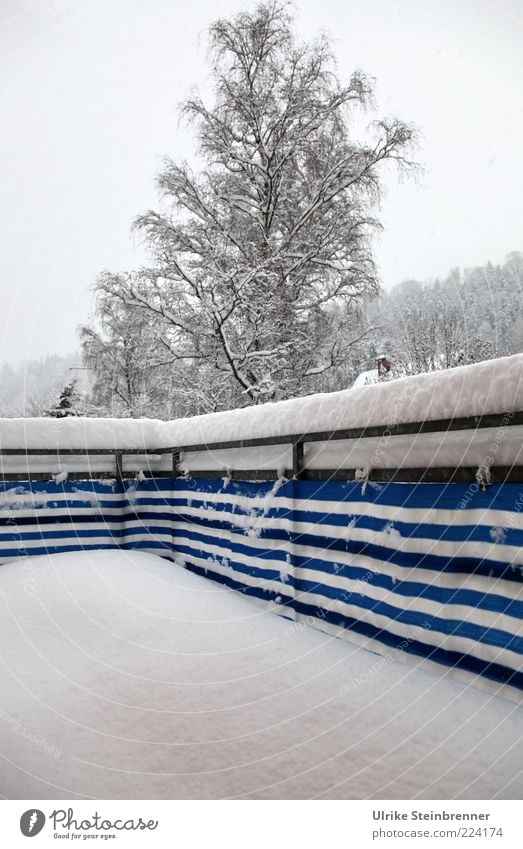 Frisch eingeschneiter Balkon im Winter schlechtes Wetter Schnee Baum Haus frieren kalt blau weiß Sehnsucht Streifen ungemütlich Ast Birke Farbfoto Außenaufnahme