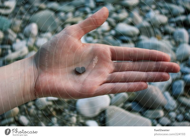 Your heart in my hand Hand Stein ästhetisch Vertrauen Sicherheit Geborgenheit Einigkeit Sympathie Liebe Verliebtheit Romantik Herz Farbfoto Außenaufnahme