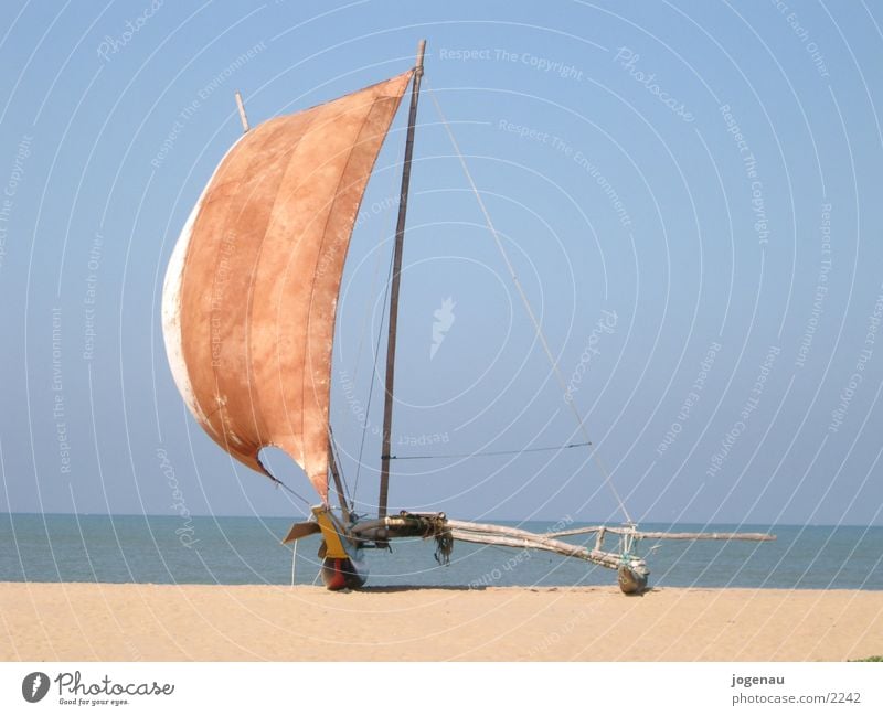 Katamaran Ferien & Urlaub & Reisen Meer Strand Wasserfahrzeug Sri Lanka Los Angeles Sand Sonne Segel