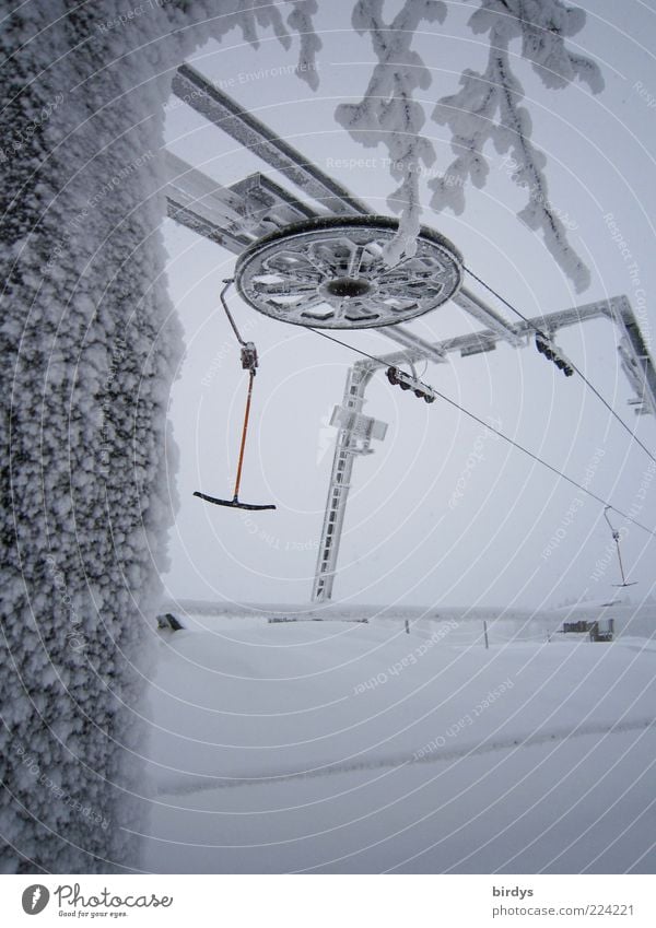 Freizeittechnik Winter Schnee Winterurlaub Wintersport Bewegung Freizeit & Hobby Sport Skilift Schlepplift Technik & Technologie kalt Schneelandschaft Baum