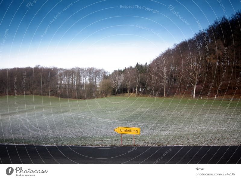 Nach 50 Metern biegen Sie rechts ab! Landschaft Himmel Baum Feld Wald Straße gelb Umleitung Hinweis Richtung Orientierung Navigation Asphalt Straßenführung