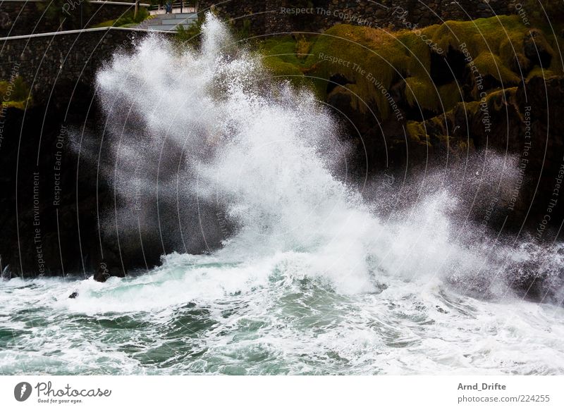 Wuuusch Strand Meer Wellen Natur Landschaft Wasser Unwetter Wind Sturm Küste Aggression groß Hintergrundbild Brandung Gischt Farbfoto Außenaufnahme Tag