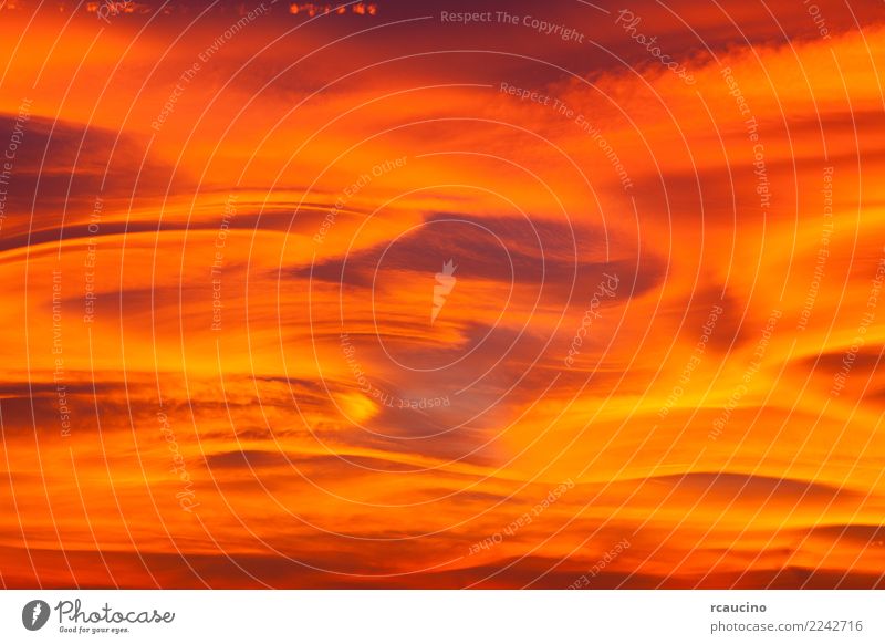 Schöner Sonnenunterganghimmel mit lenticular Wolken schön Natur Landschaft Himmel gelb gold rot Farbe farbenfroh orange violett Wolkenlandschaft Hintergrund