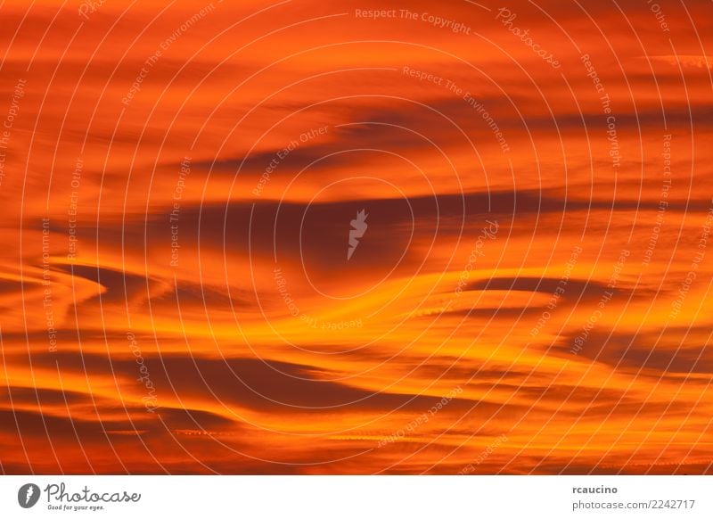 Schöner Sonnenunterganghimmel mit lenticular Wolken schön Natur Landschaft Himmel gelb gold rot Farbe farbenfroh orange violett Wolkenlandschaft Hintergrund