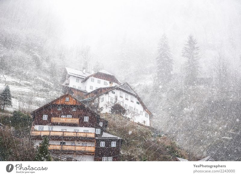 Dichter Schneefall über Bergdorf Ferien & Urlaub & Reisen Berge u. Gebirge Haus Silvester u. Neujahr Klimawandel Wetter schlechtes Wetter Unwetter Sturm Wald