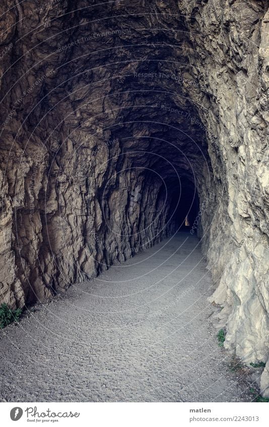 spannend Tunnel dunkel gruselig lang braun grau Biegung Lichtblick Lichterscheinung Farbfoto Gedeckte Farben Außenaufnahme Menschenleer Textfreiraum links