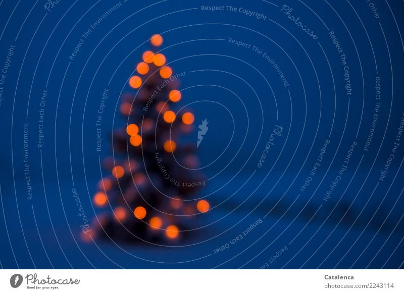 Die Lichter am Weihnachtsbaum draußen  leuchten am Abend Feste & Feiern Weihnachten & Advent Natur Pflanze Winter Klima Schnee Baum Nadelbaum Tanne Park Kerze