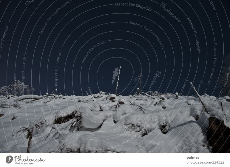 Mondlandschaft Umwelt Natur Landschaft Himmel Wolkenloser Himmel Winter Wetter Eis Frost Schnee Gefühle Stimmung Farbfoto Gedeckte Farben Außenaufnahme