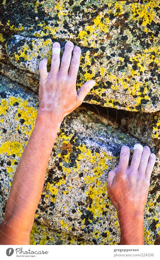 Kletterer greift nach einem Griff. Abenteuer Sport Klettern Bergsteigen Hand 1 Mensch Berge u. Gebirge sportlich Mut Tatkraft Vertrauen anstrengen Risiko