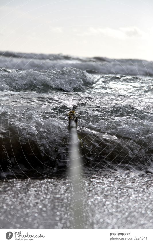 water-line Freizeit & Hobby Angeln Ferien & Urlaub & Reisen Strand Meer Wellen Seil Urelemente Wasser Außenaufnahme Nahaufnahme Detailaufnahme Kontrast