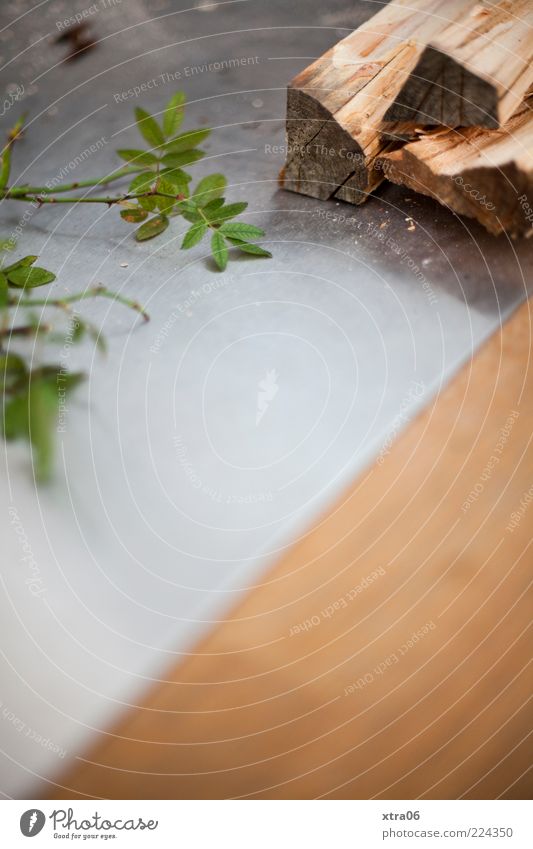 holz Pflanze grün Edelstahl Holz Blatt Farbfoto Innenaufnahme Textfreiraum unten Menschenleer Eisenplatte Brennholz liegen