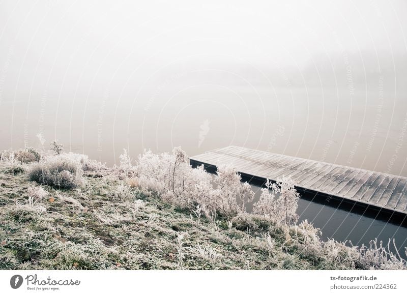 Winter-Anleger II Umwelt Natur Landschaft Pflanze Urelemente Wasser Wetter Nebel Eis Frost Schnee Gras Sträucher Küste Seeufer Flussufer kalt blau grün weiß