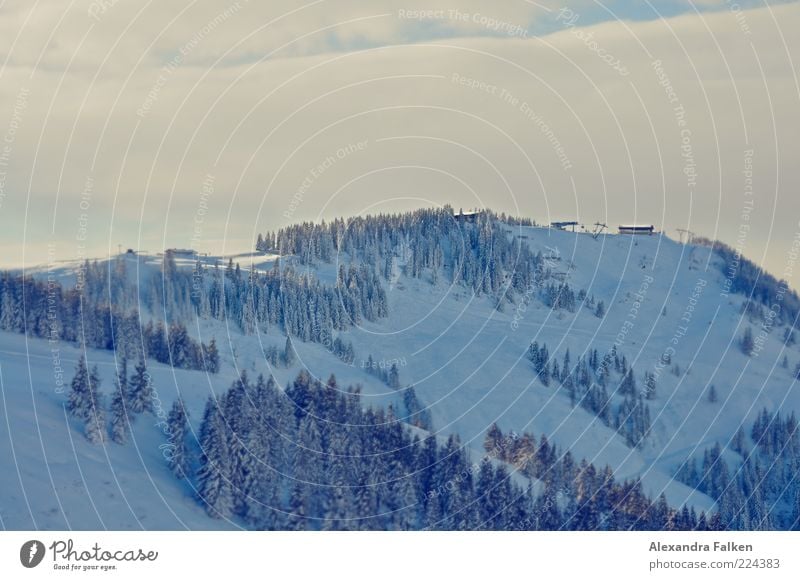 Hartkaiser / Tirol Umwelt Natur Landschaft Pflanze Erde Luft Himmel Wolken Winter Klima Schnee Baum Tanne Wald kalt Berge u. Gebirge Österreich Bundesland Tirol