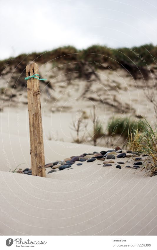 Snøre Umwelt Natur Landschaft Sand Küste Strand Stein Holz stehen ruhig Gras Strandgut Holzpfahl Pfosten Stranddüne Dünengras Farbfoto Detailaufnahme