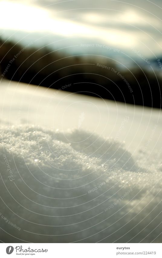 Pulverschnee Umwelt Natur Landschaft Wolken Winter Klima Klimawandel Wetter Eis Frost Schnee weiß Einsamkeit Schneedecke Farbfoto Außenaufnahme Tag Schatten