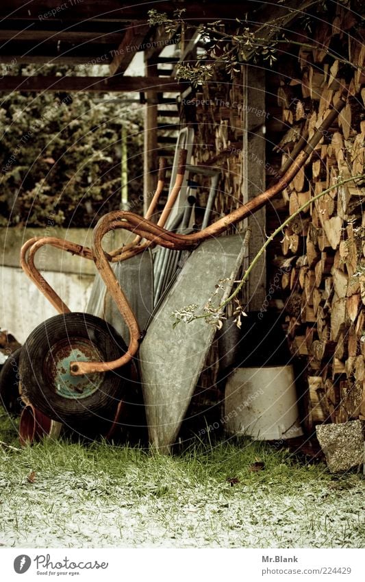 winterzeit ist ruhezeit Garten Winter Eis Frost Schnee frieren authentisch braun grün weiß Schubkarre Holz Gedeckte Farben Außenaufnahme Menschenleer Tag