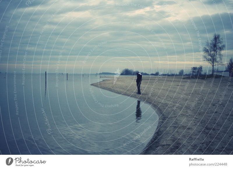 verloren Ausflug Ferne Strand Meer Denken gehen nachdenklich blau Wolkendecke Wolkenhimmel Wasser Sand Baum Spiegelbild Horizont grau trist Einsamkeit