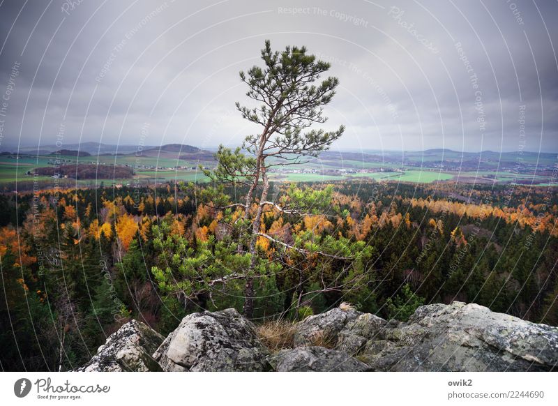 Bellevue Umwelt Natur Landschaft Pflanze Wolken Herbst Schönes Wetter Baum Felsen Gipfel Zittauer Gebirge Dreiländereck Lausitz Sachsen Deutschland hoch oben