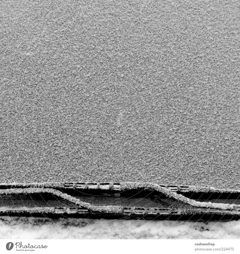 parallel deposition Umwelt Klima Eis Frost Schnee kalt trist grau schwarz weiß Windschutzscheibe Scheibenwischer Winter Farbfoto Außenaufnahme Detailaufnahme