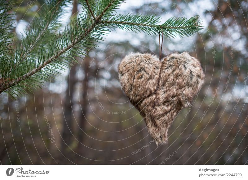 Lederherzform auf Tanne gehakt Winter Dekoration & Verzierung Feste & Feiern Weihnachten & Advent Natur Baum Wald Holz Herz Liebe natürlich neu retro grün