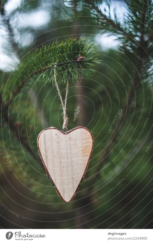 Hölzerne Herzform auf Tanne Dekoration & Verzierung Weihnachten & Advent Natur Baum Wald Holz alt Liebe natürlich braun grün weiß Hintergrund Rinde Konsistenz