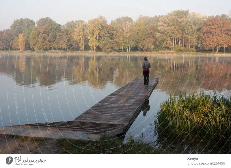 Herbstflimmern 1 Mensch Landschaft Seeufer Denken Blick träumen Traurigkeit warten Hoffnung Glaube Sehnsucht Einsamkeit Erwartung Natur ruhig Wasserspiegelung