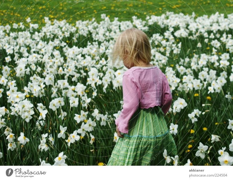 kleine Blumenfee Mensch Kind Mädchen Kindheit Haare & Frisuren Rücken Arme Umwelt Natur Pflanze Frühling Blüte Garten Park Wiese hell natürlich grün rosa weiß