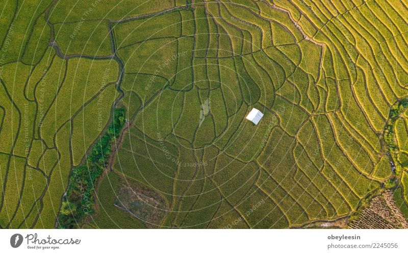 Luftaufnahmefoto von Fliegen Drohne schön Ferien & Urlaub & Reisen Tourismus Berge u. Gebirge Haus Umwelt Natur Landschaft Himmel Baum Wald Hügel Dorf Verkehr