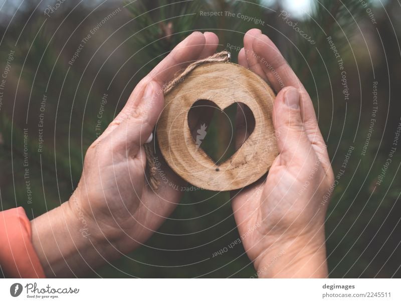 Hölzerne Herzform auf Tanne Dekoration & Verzierung Weihnachten & Advent Hand Natur Baum Wald Holz alt Liebe natürlich braun grün weiß Hintergrund Rinde