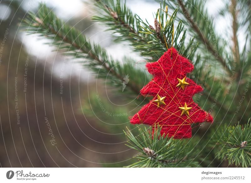 Roter Weihnachtsbaum auf Zweig Dekoration & Verzierung Feste & Feiern Weihnachten & Advent Natur Baum Wald neu grün rot Hintergrund Feiertag Jahreszeiten