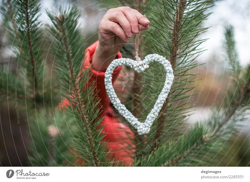 Hand halten Herzform von Kristallen Reichtum Design Winter Dekoration & Verzierung Frau Erwachsene Sand Baum Wald Mode Schmuck Liebe rot Romantik Diamant Halt