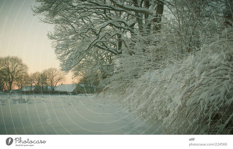 der Hof kalt Bauernhof Wiese Farbfoto Gedeckte Farben Außenaufnahme Abend Dämmerung Sonnenlicht Sonnenaufgang Sonnenuntergang Starke Tiefenschärfe Schnee