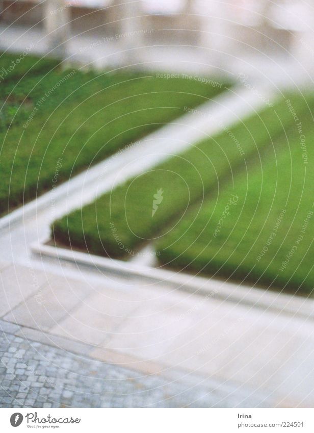 B free lens grau grün gerade Ecke Garten Pflastersteine analog z Beet Museumsinsel Experiment Unschärfe Pflanze Wege & Pfade Menschenleer Textfreiraum oben