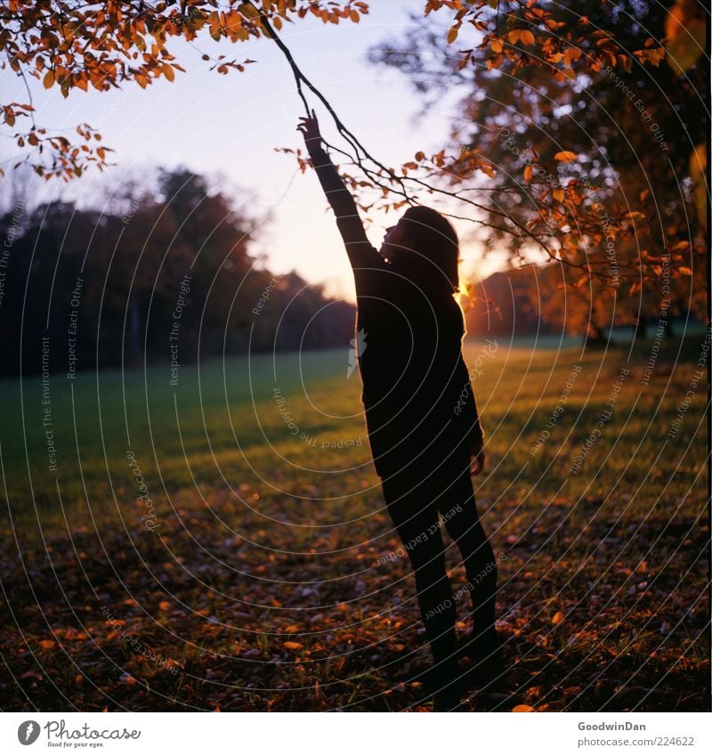 [ 300 ] Reaching out Mensch Junge Frau Jugendliche Erwachsene 1 Umwelt Natur Landschaft Urelemente Sonnenaufgang Sonnenuntergang Sonnenlicht Herbst Wetter