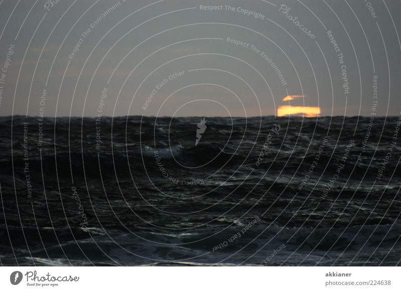 Sonnenaufgang Umwelt Natur Landschaft Urelemente Luft Wasser Himmel Wolken Horizont Sommer Wellen Küste Meer nass natürlich Wellengang Farbfoto Außenaufnahme